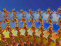 thumbs/fract006.gif