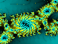 fract128.gif